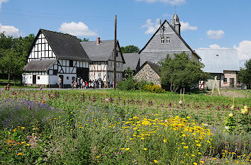 Blumenfeld in Freilichtmuseum im Taunus