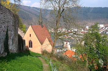 Weg zur Burg Hirschhorn mit Klosterkirche