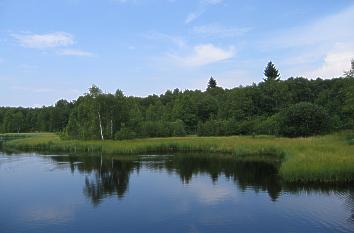 Moorweiher am Roten Moor