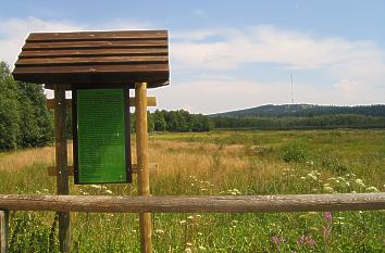 Hinweistafel am Hochmoor