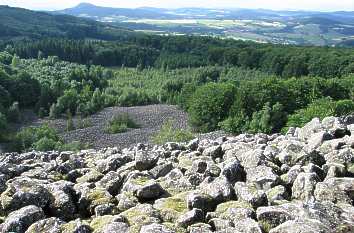 Schafstein in der Rhön