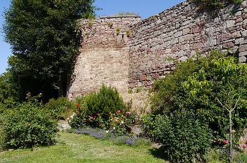 Schlossgarten Burgmauer Schloss Berlepsch