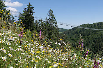Hängebrücke Skywalk in Willingen im Upland