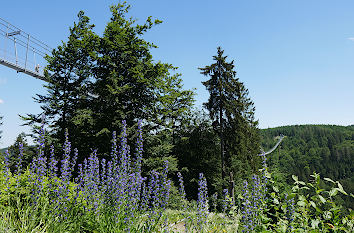 Hängebrücke Skywalk in Willingen im Upland