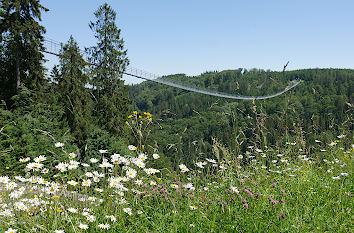 Hängebrücke Skywalk in Willingen im Upland