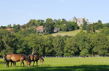 Sababurgblick Tierpark Sababurg