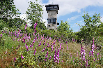 Aussichtsturm auf dem Herzberg