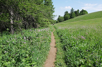 Wasserkuppe Rhön