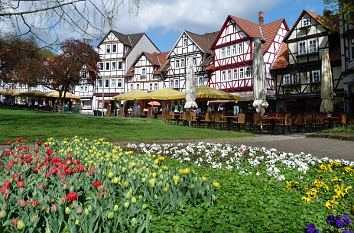 Kurpark Bad Sooden-Allendorf