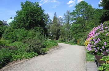 Kurpark mit Rhododendron in Bad Wildungen