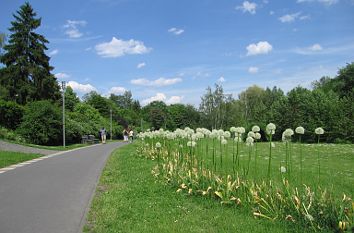 Kurpark in Bad Wildungen