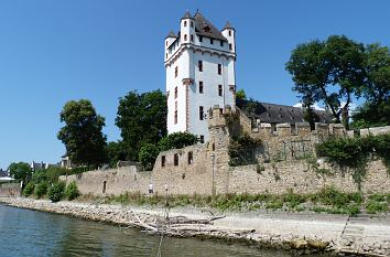 Kurfürstliche Burg in Eltville am Rhein