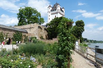 Eltville am Rhein