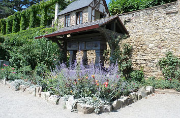 Weinpresse vor der Burg Eltville