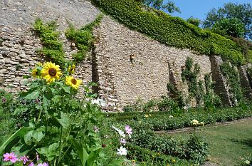 Burggarten in Eltville am Rhein