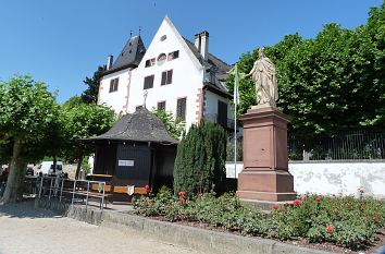 Platanenhain, Eltzer Hof und Kriegerdenkmal in Eltville