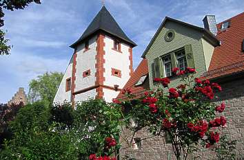 Mittelalterlicher Wachturm in Erbach
