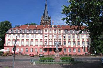 Schloss der Grafen von Erbach-Erbach