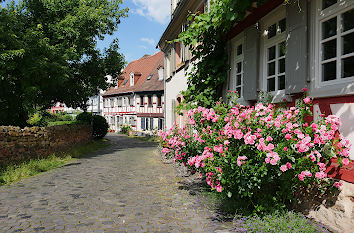 Frankfurt-Höchst