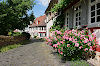 Frankfurt-Höchst