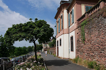 Mainpromenade in Frankfurt-Höchst