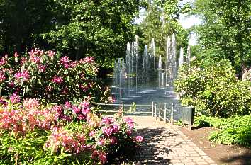 Schloss Fulda: Schlossgarten mit Rhododendren