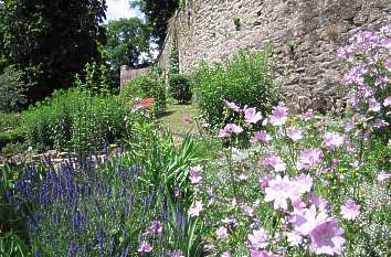 Heilpflanzengarten Lindenfels