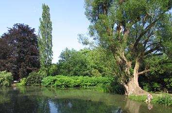 Alter Botanischer Garten in Marburg