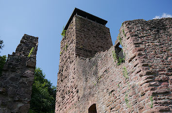 Hinterburg Neckarsteinach