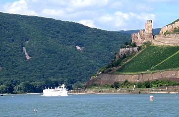 Burgruine Ehrenfels und Rhein