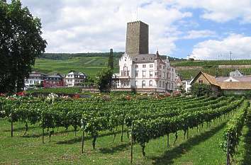 Boosenburg in Rüdesheim am Rhein