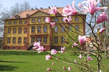 Schloss Hallenburg in Schlitz