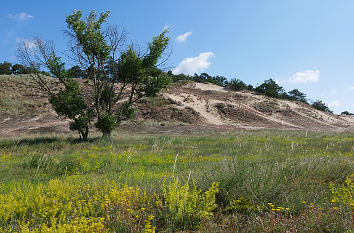 Binnenwanderdüne Klein Schmölen