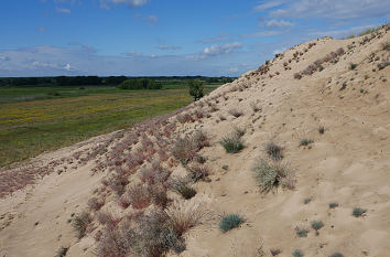 Binnenwanderdüne Klein Schmölen