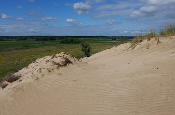 Sanddüne Klein-Schmölen