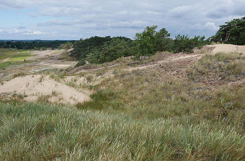 Sanddüne bei Dömitz