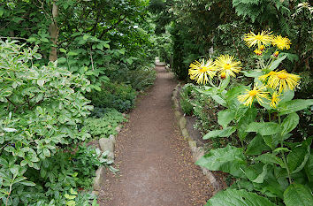 Botanischer Garten Christiansberg