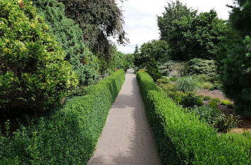 Heckenweg im Botanischen Garten Christiansberg