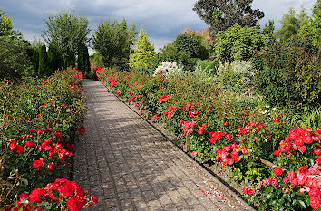 Rosenweg im Botanischen Garten Christiansberg