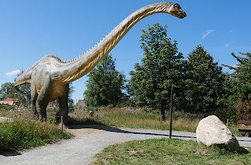Diplodocus im Dino-Park Mölschow