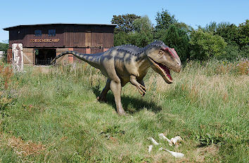 Tyrannosaurus Rex im Dinopark Mölschow