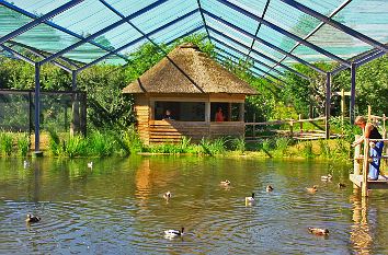 Boddenlandschaft im Vogelpark Marlow