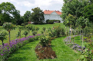 Schlosspark Schloss Hohenzieritz
