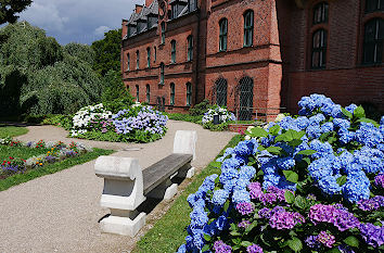 Hortensien und Steinbank am Schloss Wiligrad