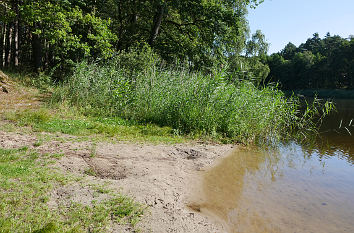 Badestelle am Schmölner Brack