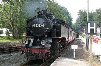 Bäderbahn Molli im Bahnhof Heiligendamm