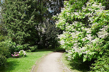 Arboretum des Botanischen Gartens