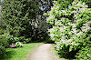 Arboretum des Botanischen Gartens Greifswald