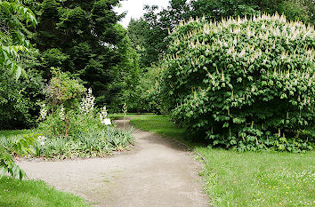 Botanischer Garten Greifswald