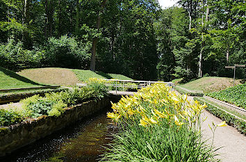 Lilien am Ludwigsluster Kanal Schlosspark Ludwigslust